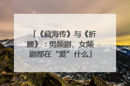 《藏海传》与《折腰》：男频剧、女频剧都在“爱”什么