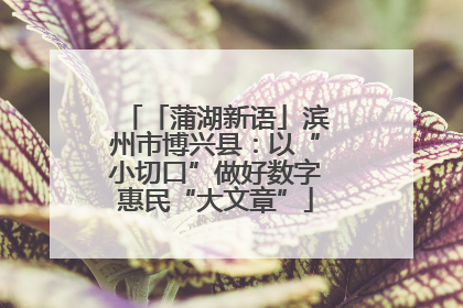 「蒲湖新语」滨州市博兴县：以“小切口”做好数字惠民“大文章”