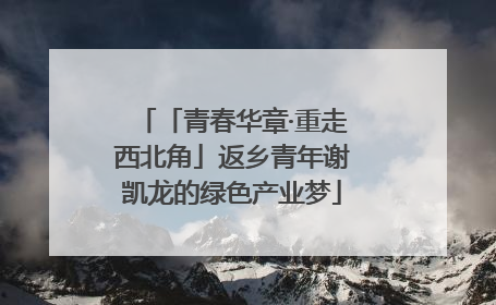 「青春华章·重走西北角」返乡青年谢凯龙的绿色产业梦