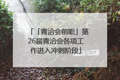 「青洽会前瞻」第26届青洽会各项工作进入冲刺阶段