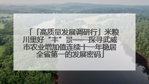 「高质量发展调研行」米粮川里好“丰”景——探寻武威市农业增加值连续十一年稳居全省第一的发展密码