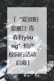 “爱资阳爱雁江·青春有young”特产校园行活动启幕