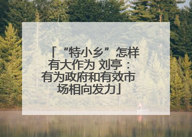“特小乡”怎样有大作为 刘亭：有为政府和有效市场相向发力