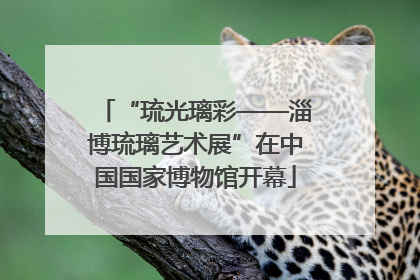 “琉光璃彩——淄博琉璃艺术展”在中国国家博物馆开幕
