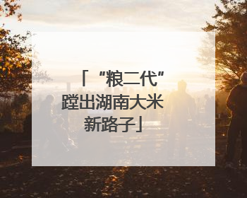 “粮二代”蹚出湖南大米新路子