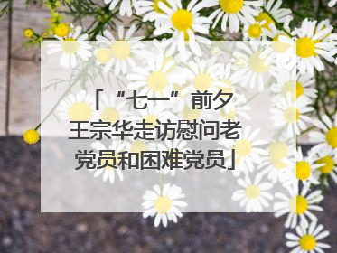 “七一”前夕 王宗华走访慰问老党员和困难党员