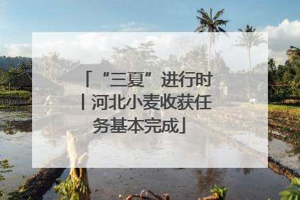 “三夏”进行时丨河北小麦收获任务基本完成