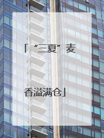“三夏”麦香溢满仓