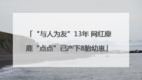 “与人为友”13年 网红麋鹿“点点”已产下8胎幼崽