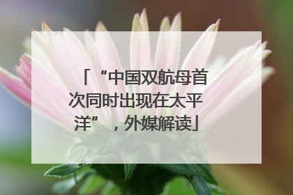 “中国双航母首次同时出现在太平洋”，外媒解读