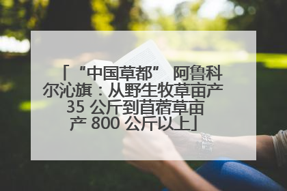 “中国草都” 阿鲁科尔沁旗：从野生牧草亩产 35 公斤到苜蓿草亩产 800 公斤以上