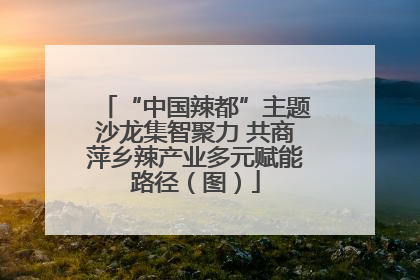 “中国辣都”主题沙龙集智聚力 共商萍乡辣产业多元赋能路径（图）