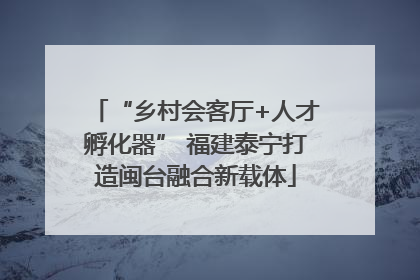 “乡村会客厅+人才孵化器” 福建泰宁打造闽台融合新载体