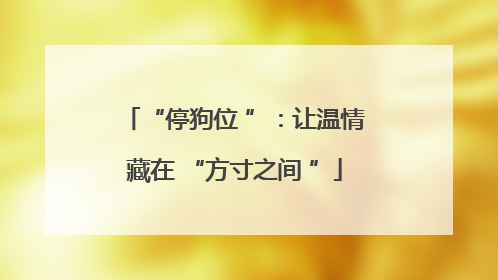 “停狗位 ”：让温情藏在 “方寸之间 ”