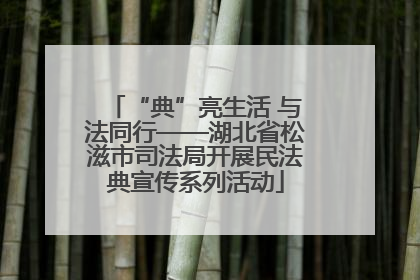 “典”亮生活 与法同行——湖北省松滋市司法局开展民法典宣传系列活动