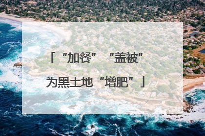 “加餐”“盖被” 为黑土地“增肥”