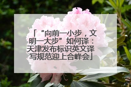 “向前一小步，文明一大步”如何译：天津发布标识英文译写规范迎上合峰会