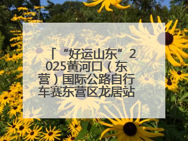 “好运山东”2025黄河口（东营）国际公路自行车赛东营区龙居站 完美“抄作业”，苦战最后时刻黄衫易主