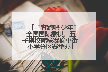 “奔跑吧·少年” 全国国际象棋、五子棋校际联赛榆中街小学分区赛举办