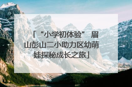 “小学初体验” 眉山彭山二小助力区幼萌娃探秘成长之旅