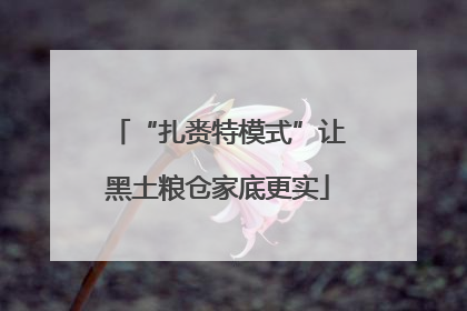 “扎赉特模式”让黑土粮仓家底更实