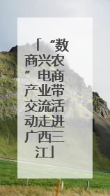 “数商兴农”电商产业带交流活动走进广西三江