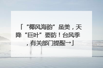 “椰风海韵”虽美，天降“巨叶”要防！台风季，有关部门提醒→