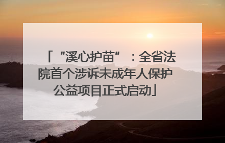 “溪心护苗”：全省法院首个涉诉未成年人保护公益项目正式启动