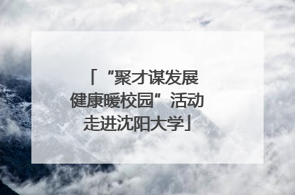 “聚才谋发展 健康暖校园”活动走进沈阳大学