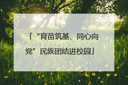 “育苗筑基、同心向党”民族团结进校园
