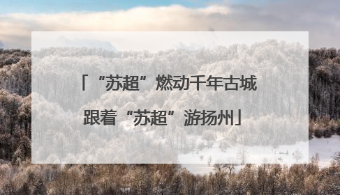 “苏超”燃动千年古城 跟着“苏超”游扬州