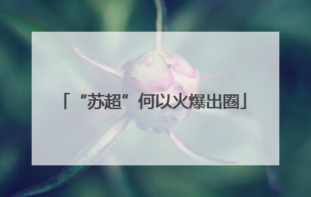 “苏超”何以火爆出圈
