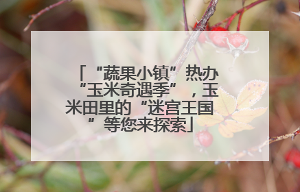 “蔬果小镇”热办“玉米奇遇季”，玉米田里的“迷宫王国”等您来探索