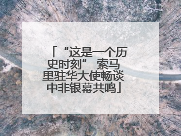 “这是一个历史时刻” 索马里驻华大使畅谈中非银幕共鸣