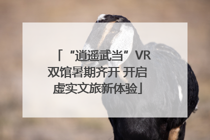 “逍遥武当”VR双馆暑期齐开 开启虚实文旅新体验
