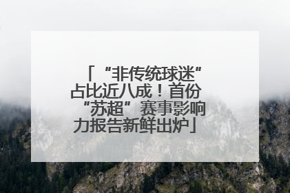 “非传统球迷”占比近八成！首份“苏超”赛事影响力报告新鲜出炉