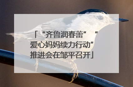“齐鲁润春蕾”“爱心妈妈续力行动”推进会在邹平召开