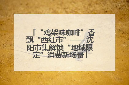 “鸡架味咖啡”香飘“西红市”——沈阳市集解锁“地域限定”消费新场景