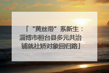 “黄丝带”系新生：淄博市桓台县多元共治铺就社矫对象回归路