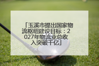 玉溪市提出国家物流枢纽建设目标：2027年物流业总收入突破千亿