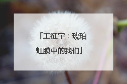 王征宇：琥珀虹膜中的我们