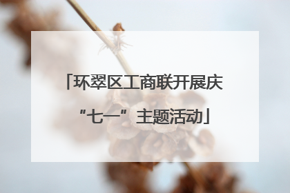 环翠区工商联开展庆“七一”主题活动