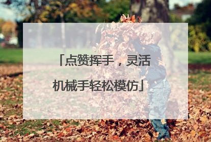 点赞挥手，灵活机械手轻松模仿