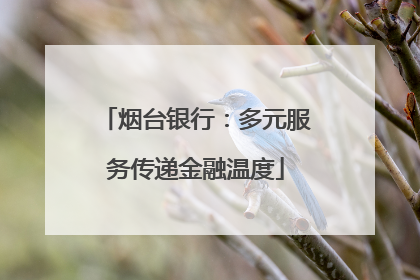烟台银行：多元服务传递金融温度