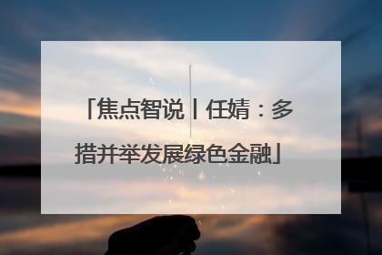 焦点智说丨任婧：多措并举发展绿色金融