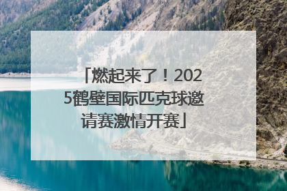 燃起来了！2025鹤壁国际匹克球邀请赛激情开赛