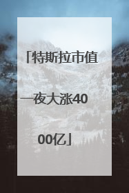 特斯拉市值一夜大涨4000亿