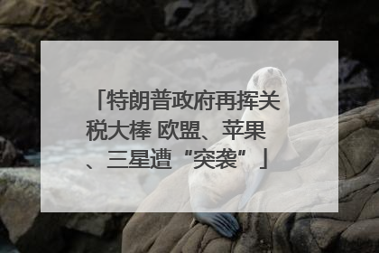 特朗普政府再挥关税大棒 欧盟、苹果、三星遭“突袭”