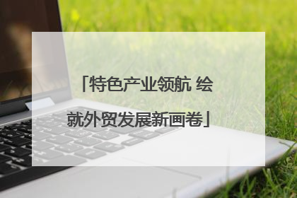 特色产业领航 绘就外贸发展新画卷