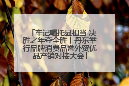 牢记嘱托显担当 决胜之年夺全胜丨丹东举行品牌消费品暨外贸优品产销对接大会